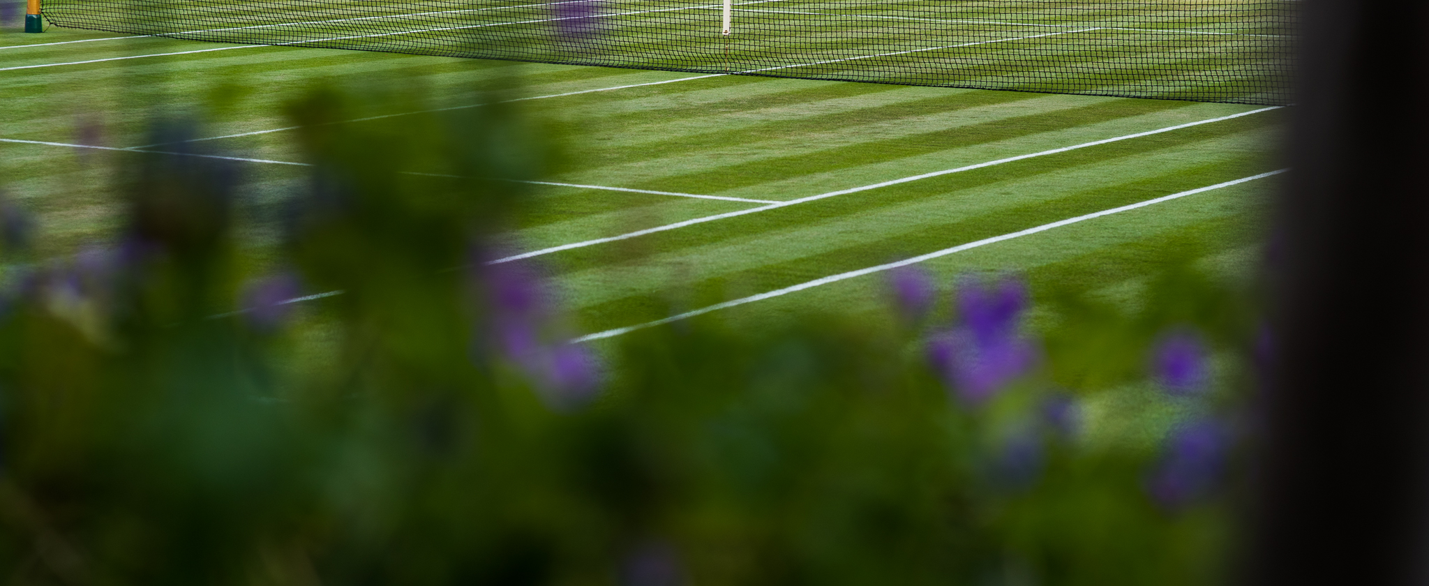 Wimbledon Tennis Tours